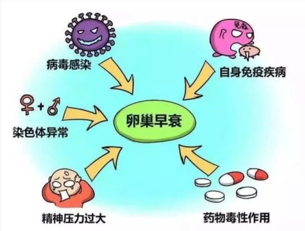 29岁女子突然绝经，凶手竟是……