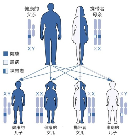 关注罕见病 | DMD世界知晓日，你知道什么是DMD吗？