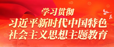 学习贯彻习近平新时代中国特色社会主义思想主题教育