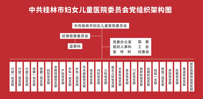 中国共产党桂林市妇女儿童医院委员会党组织架构图
