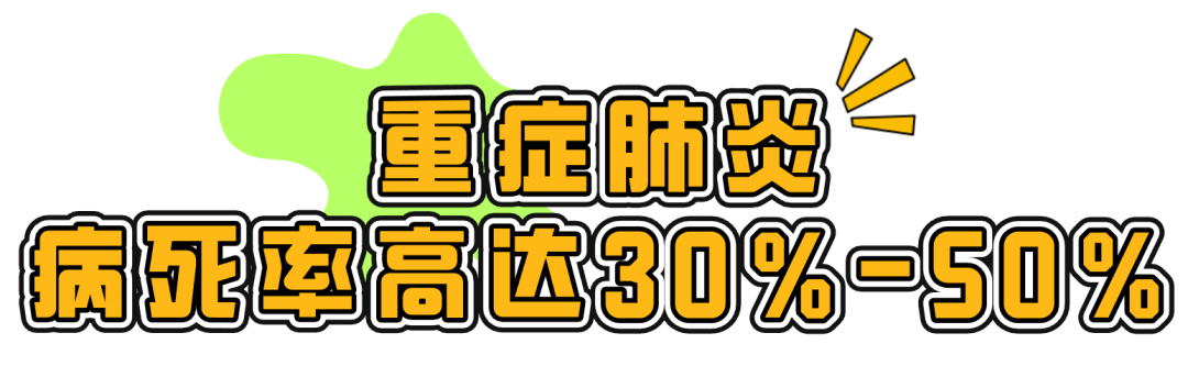 年仅36岁，从发烧到去世仅4天！出现这些信号务必警惕