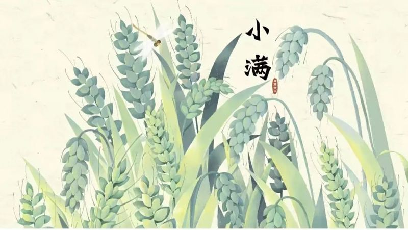今日小满 | 未病先防，健康满满